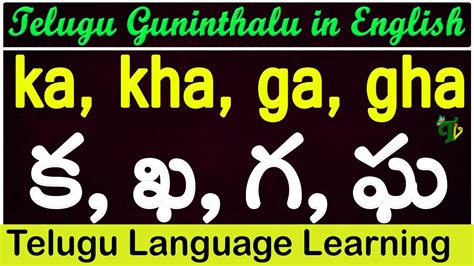 gurthu|english guninthalu.